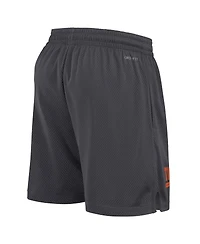 Nike Men's Anthracite Clemson Tigers 2024 Sideline Mesh Shorts