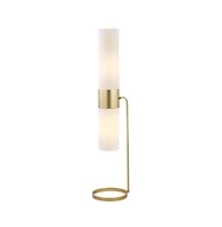 Safavieh Fierro Floor Lamp