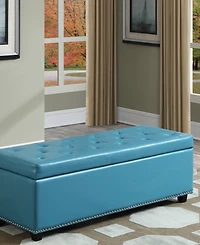 Hayes Faux Leather Storage Ottoman