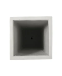 Ella L: Stylish Plant Haven For Thriving Greenery