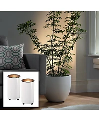 Pro Track Set of 2 Can Uplighting Indoor Accent Spot-Lights Plug-In Floor Plant Home Decorative Art Desk White Finish 6 1/2" High