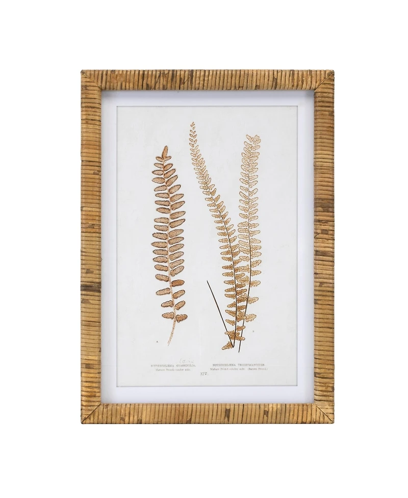 Slickblue Framed Fern Print for Lush Wall Art and Elegant Home Decor (Set of 4)