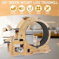 Streamdale Furniture 6-in-1 Cat Wheel: Exercise, House, Shelf, Bowl, Treadmill