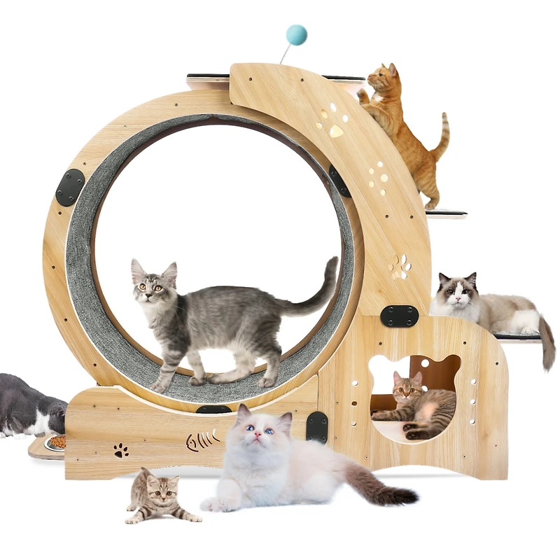 Streamdale Furniture 6-in-1 Cat Wheel: Exercise, House, Shelf, Bowl, Treadmill