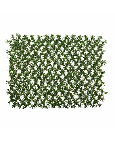 Slickblue Podocarpus Expandable Fence Uv Resistant & Waterproof