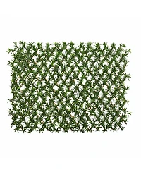 Slickblue Podocarpus Expandable Fence Uv Resistant & Waterproof
