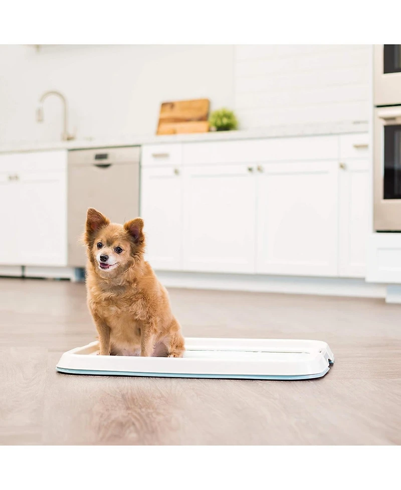Iris Usa Pad Holder, Fits 17"x24" or Larger, Medium, Puppy Dog Pad Hoder, Secured Latches, Non-Skid Rubber Feet, High Polish Finish for Easy Cleaning