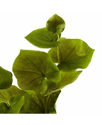 Slickblue Lotus Artificial Leaf for Elegant Decor (Set of 12)