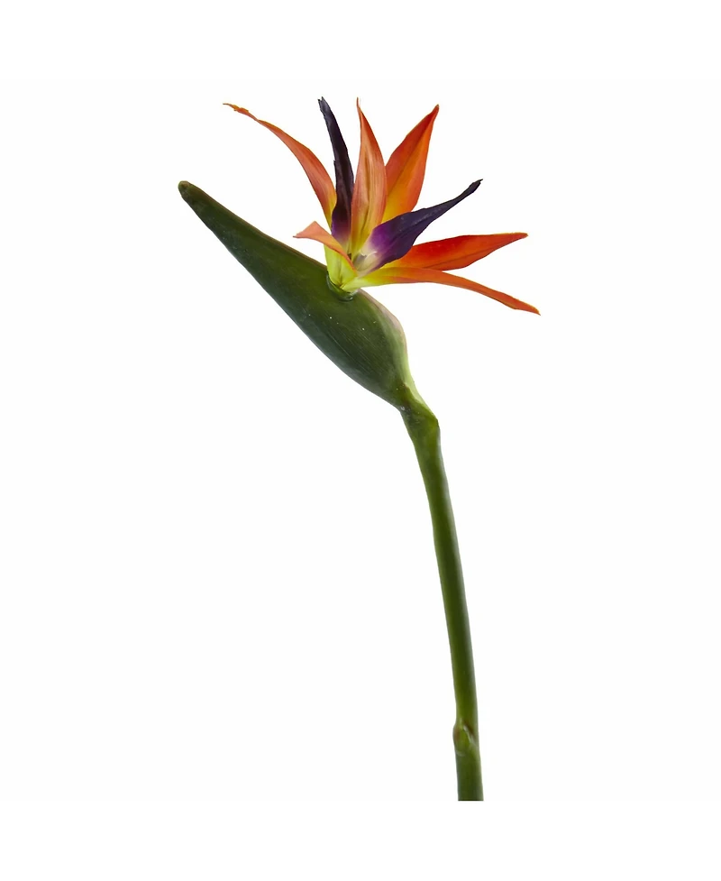 Slickblue Bird of Paradise Artificial Flower (Set of 4)