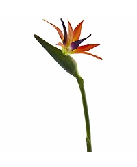 Slickblue Bird of Paradise Artificial Flower (Set of 4)