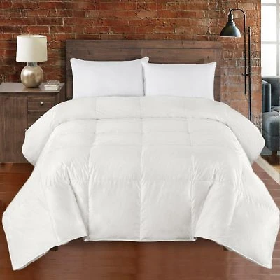 Egyptian Linens Heavyweight Silk Goose Down Fill Comforter Solid