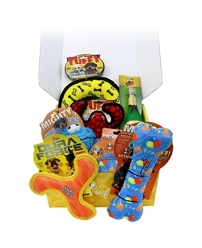 Tuffy Celebration Box. Durable, Squeaky Dog Toys