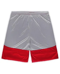 Fanatics Men's Cardinal Arizona Cardinals Big Tall Team Logo Shorts