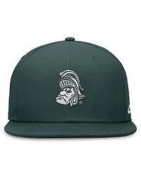 Nike Men's Green Michigan State Spartans Legacy True Fitted Hat