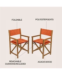 Jonathan Y Waldo Classic Mid-Century Outdoor Acacia Wood Foldable Diamond-Quilted Back Director Chair with Cushion