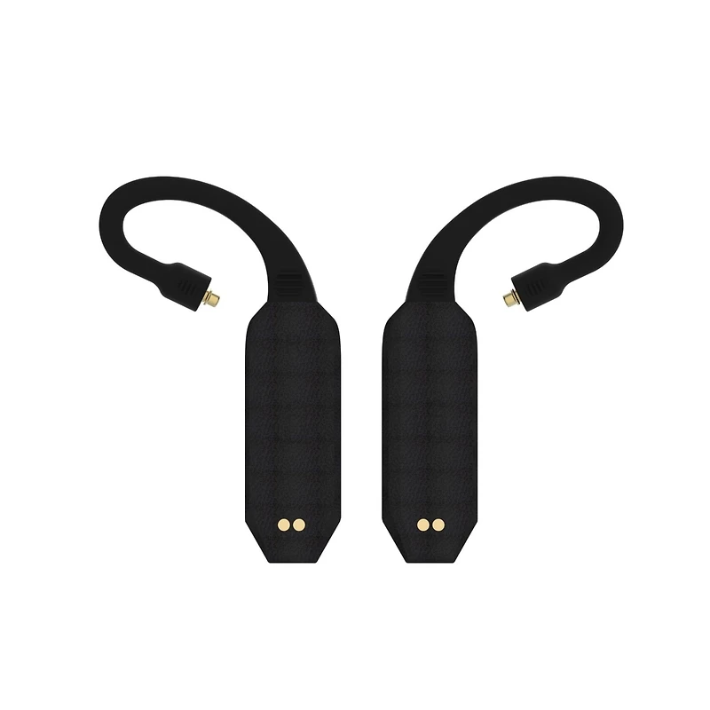 iFi Go Pod Portal Iem Bluetooth Dac Headphone Amp