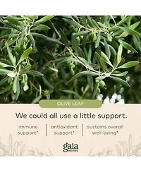Gaia Herbs Olive Leaf - Traditional Immune Health Support - Immune System Supplement with Olive Leaf Extract and Oleuropein