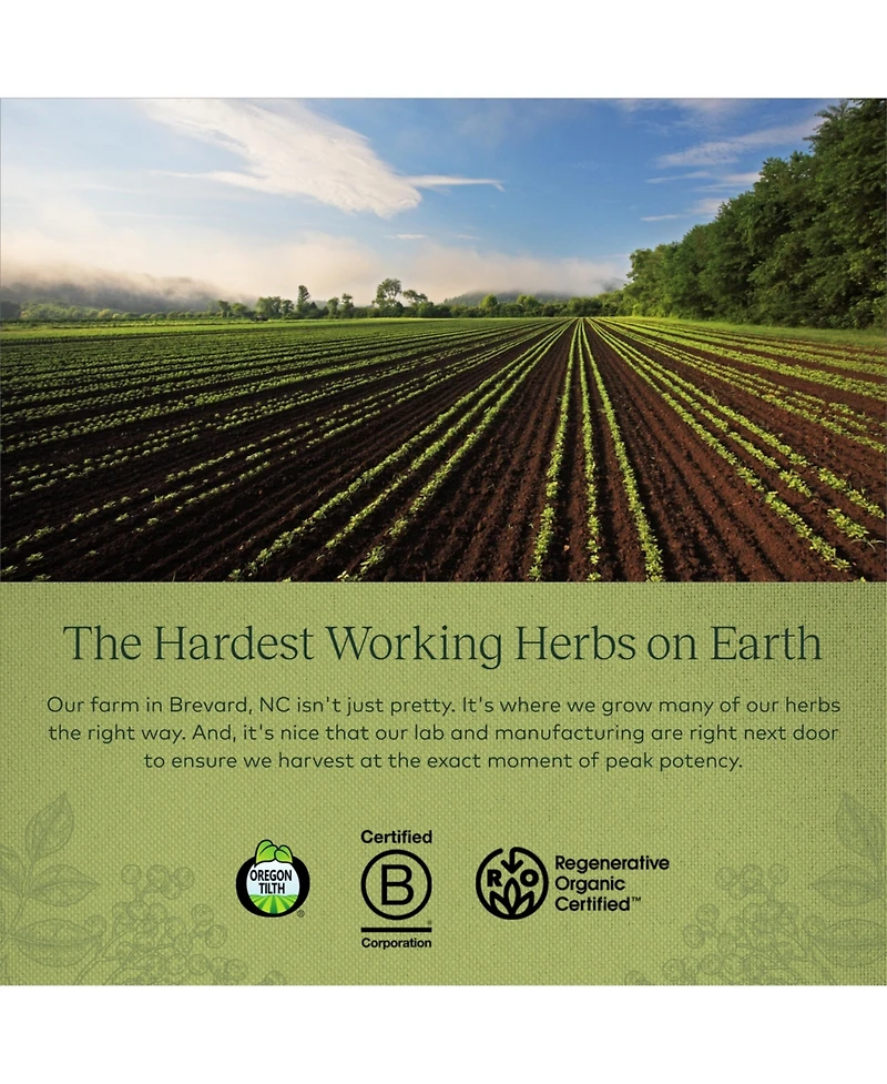 Gaia Herbs Black Elderberry