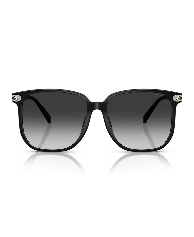 Coach Women's Sunglasses, CW419 HC8413BD
