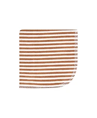 Hudson Baby Infant Boy Flannel Washcloths, Dino World 10Pk, One