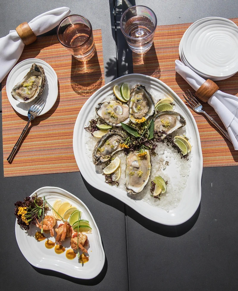 Fortessa Melamine Playa Blanca Shallow Bowl