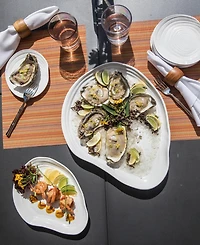 Fortessa Melamine Playa Blanca Shallow Bowl