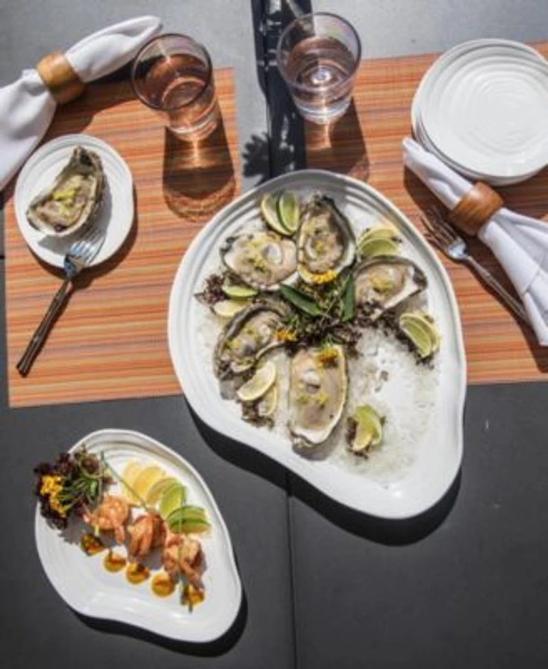 Fortessa Playa Melamine Dinnerware Collection