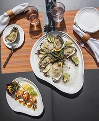 Fortessa Playa Melamine Dinnerware Collection