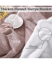 Caromio Queen Size Flannel Sherpa Electric Heated Blanket with Dual Control, 84" x 90"