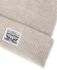 Levi's Men's Ribbed Logo Beanie