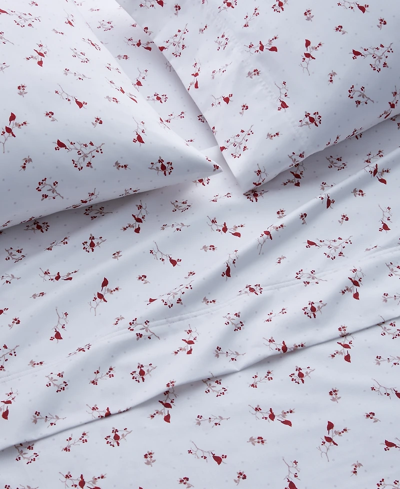 Charter Club Designs 550 Thread Count Holiday Cotton 4-Pc. Sheet Set, Queen, Exclusively at Macy's