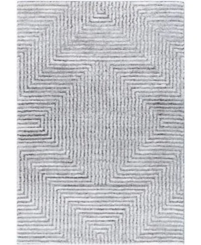 Livabliss Delight Shag Del 2309 Rug Collection
