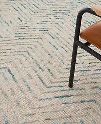 Nourison Home Colorado CLR02 8'3x11'6 Area Rug