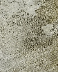 Dalyn Bresca Washable BC2 10'x14' Area Rug