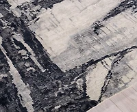 Exquisite Rugs Floor Art 5707 4'x6' Area Rug
