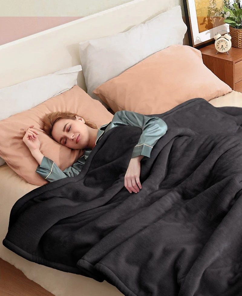 Sealy Heated Flannel Blanket