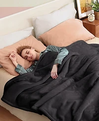 Sealy Heated Flannel Blanket