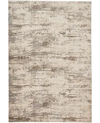 Feizy Parker 3719F 2'1"x3' Area Rug