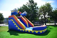 JumpOrange Commercial Grade Inflatable 14' Dolphin Splash Xtreme Party Water Slide, 100% Pvc Vinyl With Air Blower