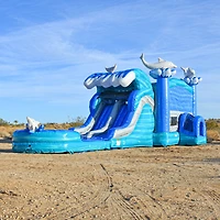 JumpOrange Dolphins Commercial Grade Bounce House Water Slide with Dual Lane and Detachable Pool for Kids and Adults (with Blower), Tunnel Entrance, B