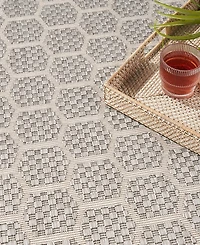 Nourison Home Twist Reversible TWS01 2'2"x8' Runner Area Rug