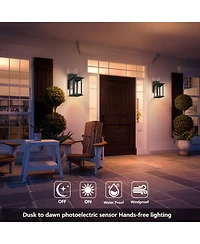 Flynama 1-Light Black Not Motion Sensing Dusk to Dawn Outdoor Hardwired Wall Lantern Sconce with No Bulbs Included