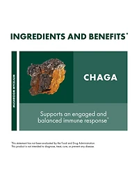 Host Defense Chaga Powder - Immune System Support Supplement - Chaga Mushroom Powder for Antioxidant Activity Support - Dietary Mushroom Supplement