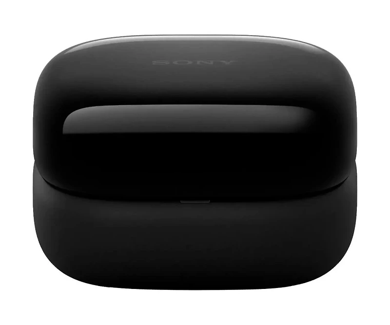 LinkBuds Open True Wireless Earbuds