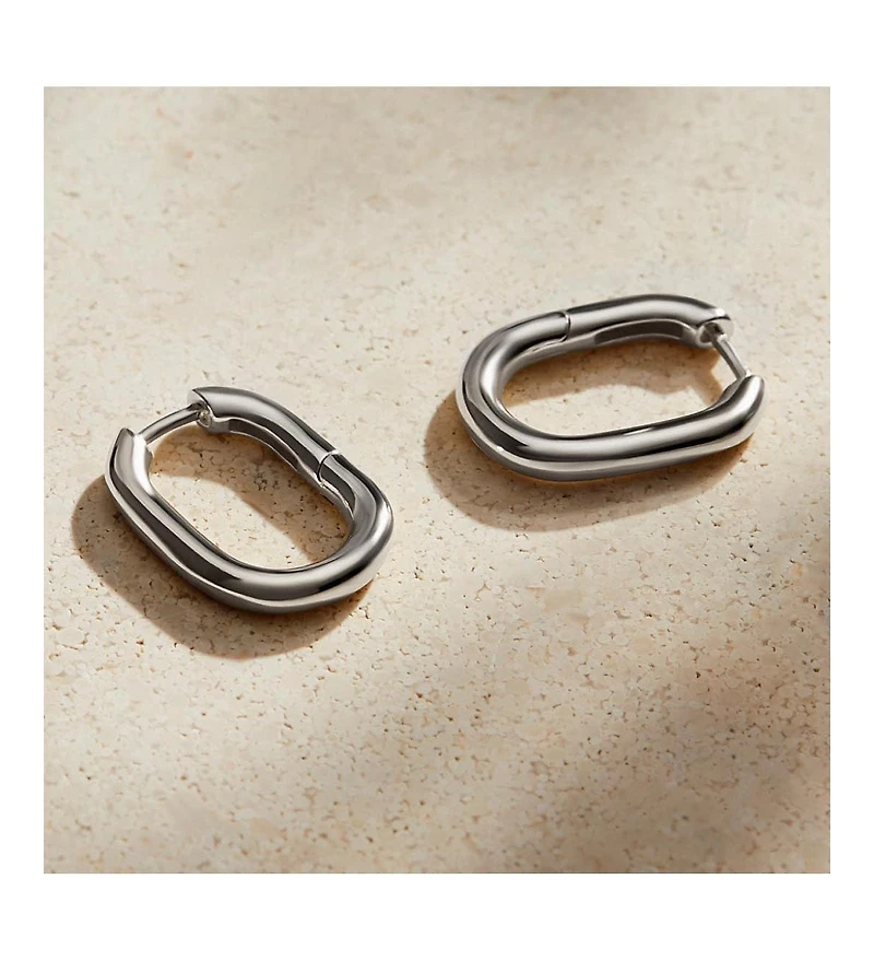 Ana Luisa Silver Hoop Earrings - Rox Small