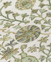 Addison Chantille Machine Washable ACN1087 8'x10' Area Rug