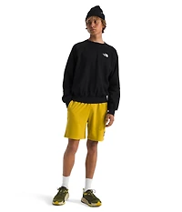 The North Face Men's Evolution Crewneck Sweatshirt