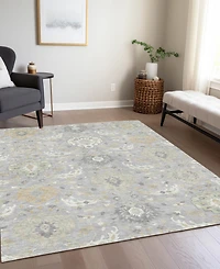 Addison Chantille Machine Washable ACN1026 2'6"x3'10" Area Rug