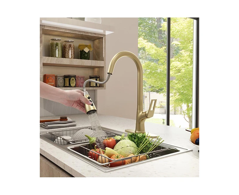 Casainc Single-Handle Pull-Down Sprayer Kitchen Faucet with Digital Display
