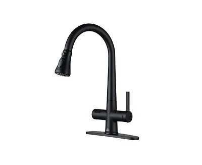 Casainc 1.8 Gpm Pull Down Kitchen Faucet with Deck Plate and Digital Display